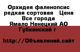 Орхидея фаленопсис редкая сортовая › Цена ­ 800 - Все города  »    . Ямало-Ненецкий АО,Губкинский г.